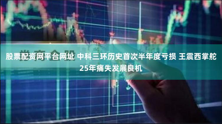 股票配资网平台网址 中科三环历史首次半年度亏损 王震西掌舵25年痛失发展良机