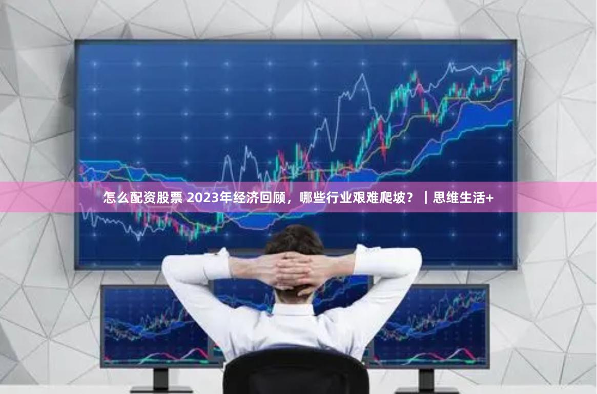 怎么配资股票 2023年经济回顾，哪些行业艰难爬坡？｜思维生活+