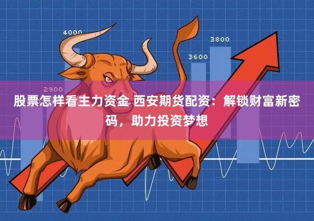 股票怎样看主力资金 西安期货配资：解锁财富新密码，助力投资梦想