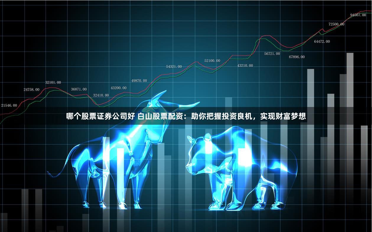 哪个股票证券公司好 白山股票配资：助你把握投资良机，实现财富梦想